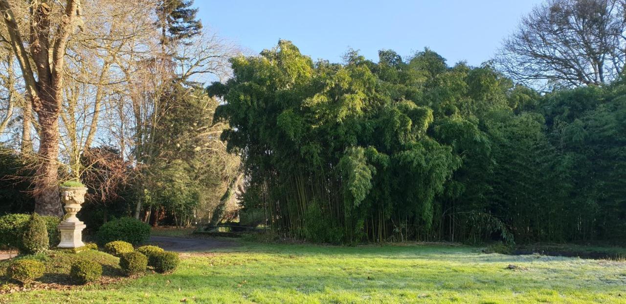 La Villa Des Arts Savigne-l'Eveque Exteriér fotografie